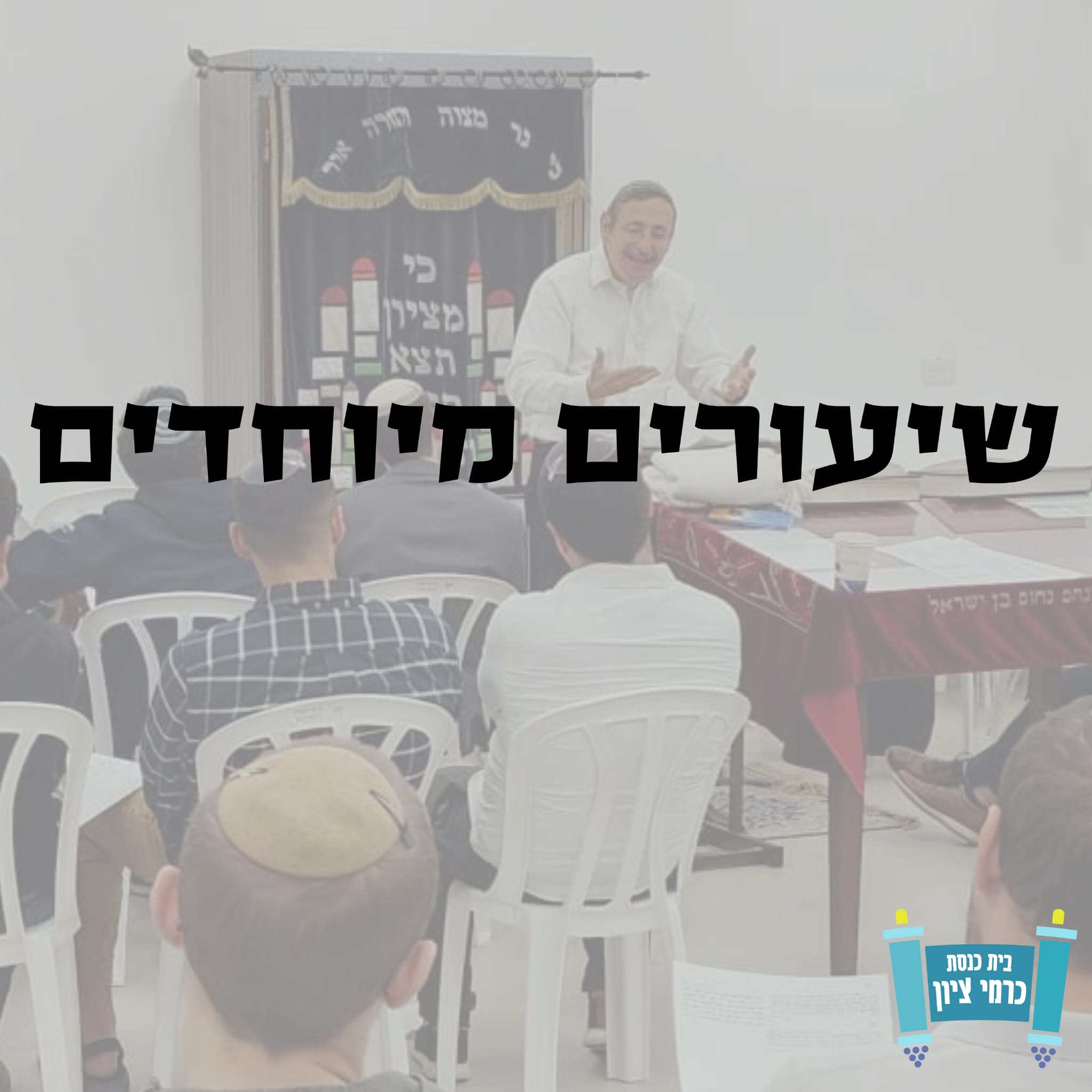 שיעורים מיוחדים podcast artwork